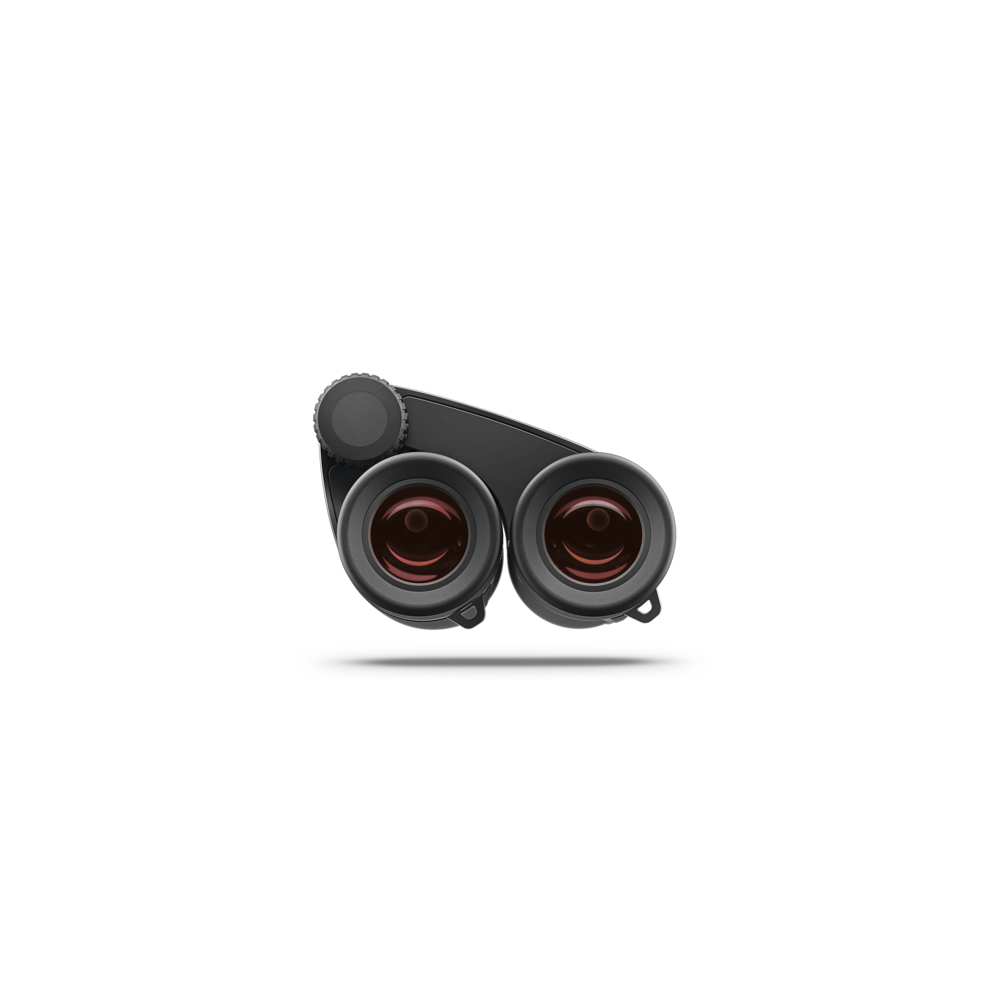 Zeiss Victory  Pocket 10x25