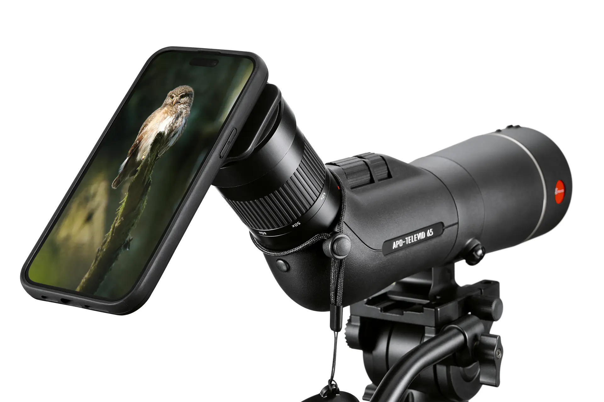 Ollin Snapshot Spotter Adapter